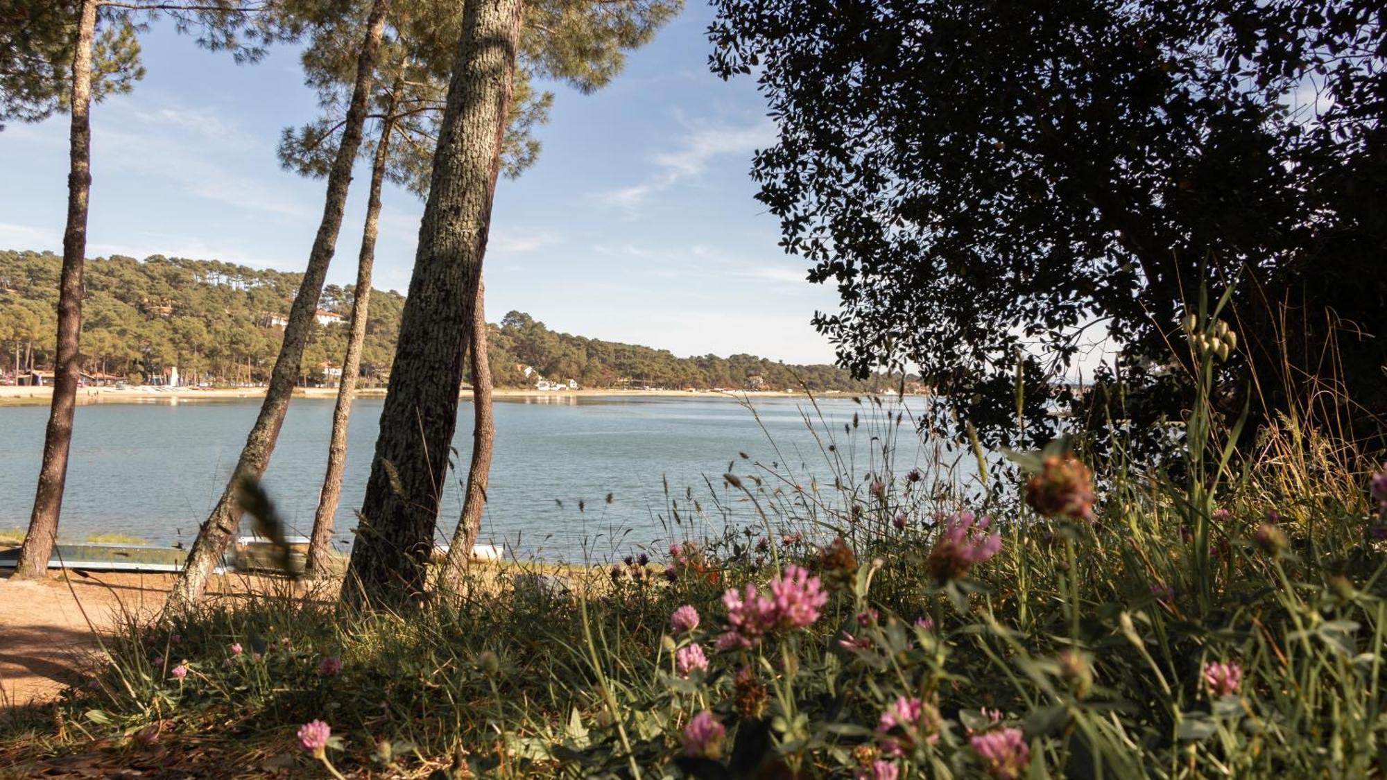 Residence Hoteliere Les Acanthes Soorts-Hossegor Εξωτερικό φωτογραφία